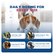 WS-01® - Weight Support Supplement