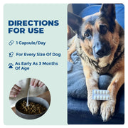 Synbiotic GB-01 - Gut Balance - 30 count - Probiotic for dogs and cats