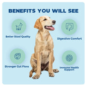 Synbiotic GB-01 - Gut Balance - 30 count - Probiotic for dogs and cats