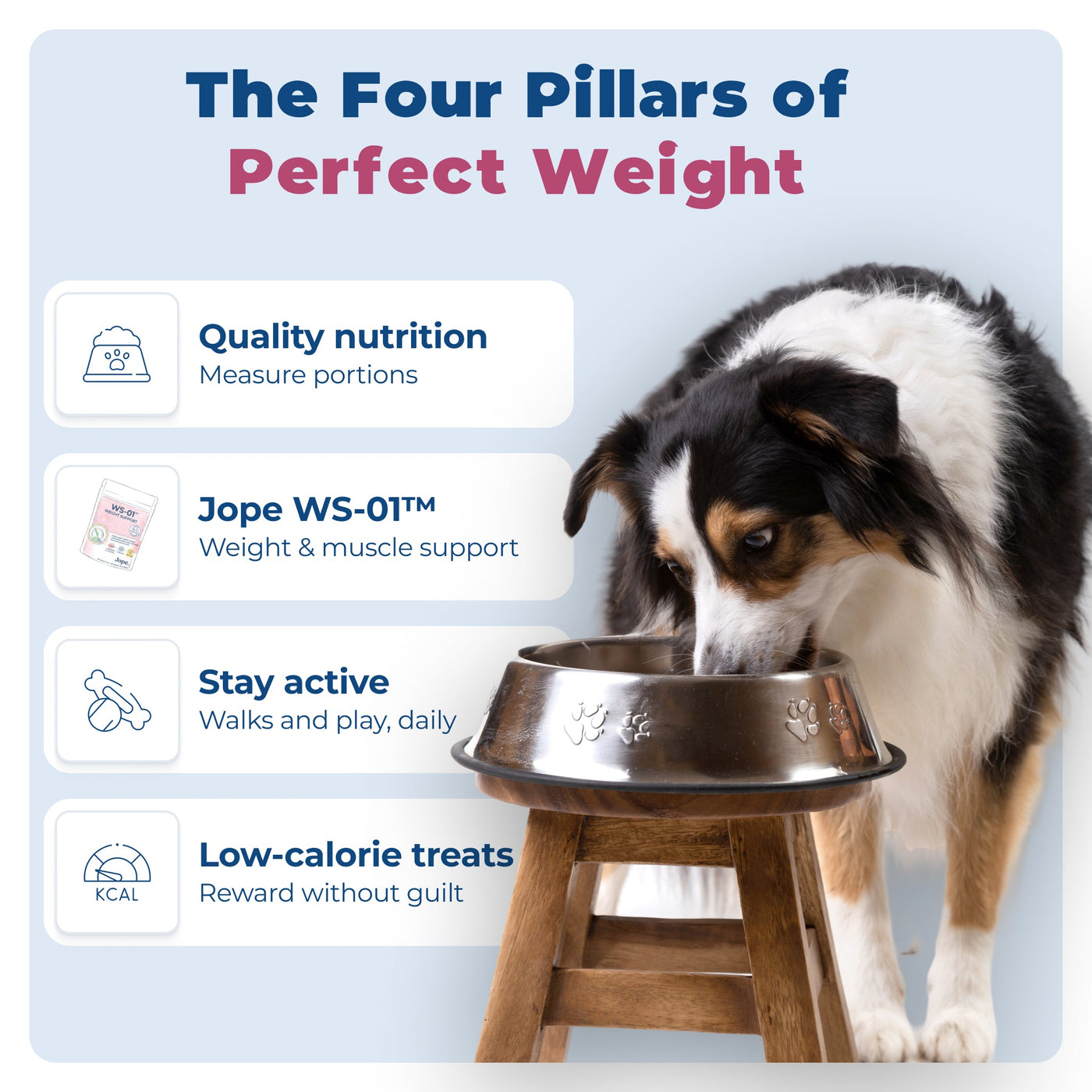 WS-01® - Weight Support Supplement