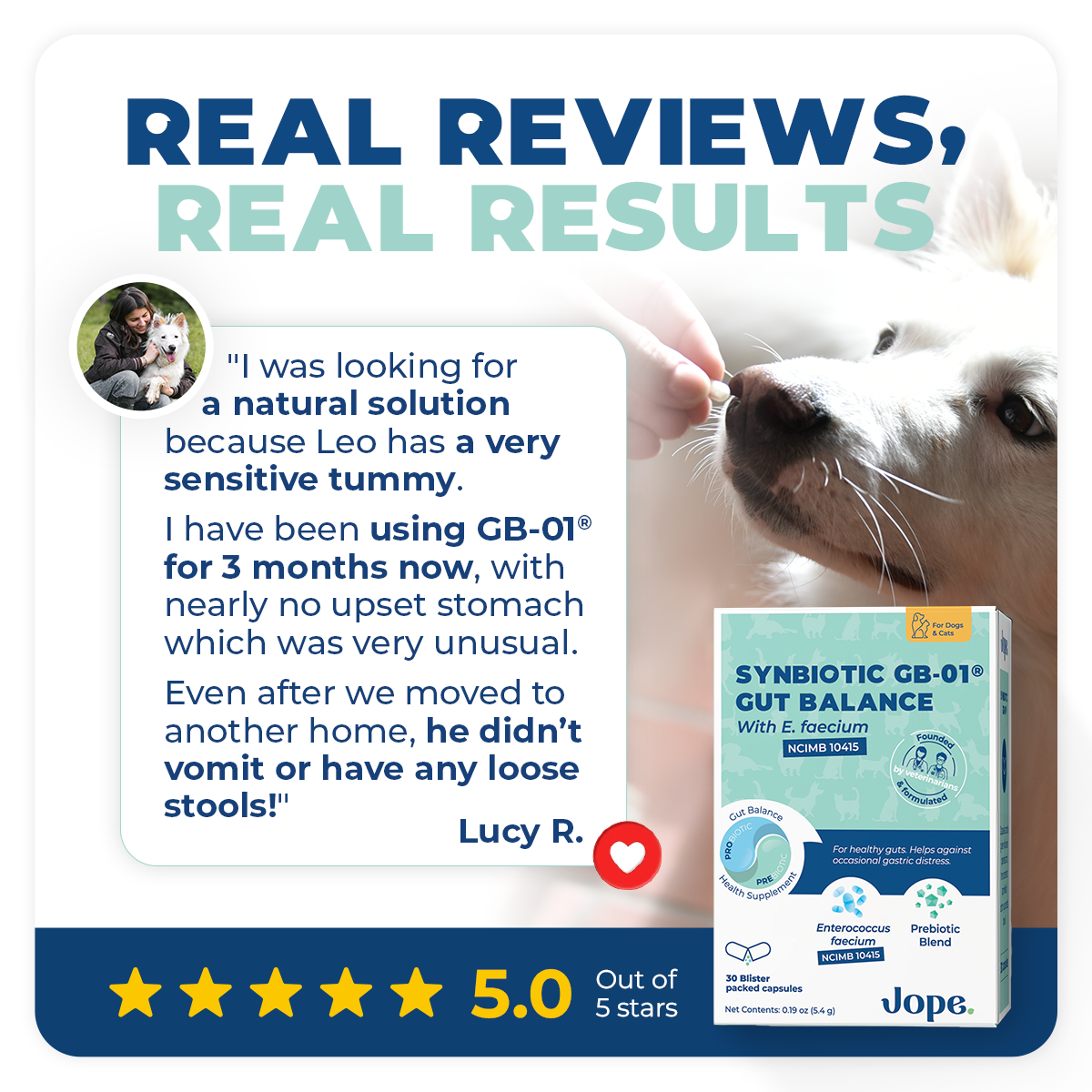 Synbiotic GB-01 - Gut Balance - 30 count - Probiotic for dogs and cats
